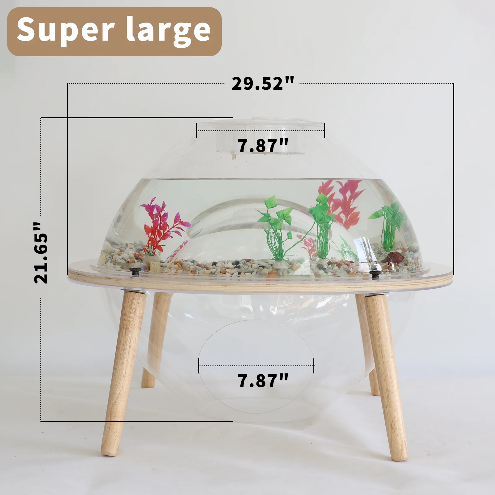 Interactive Orbit Fish Tank for Cats